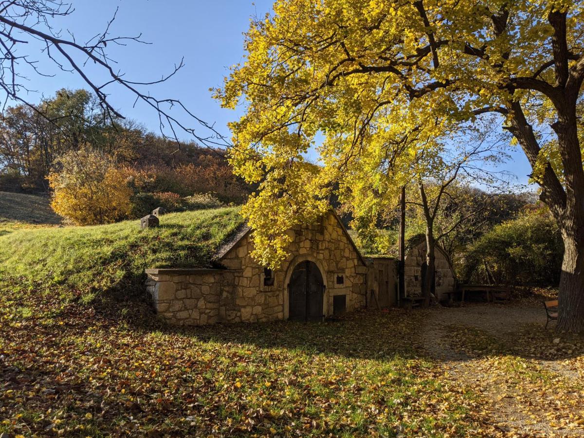 Bonito - Historischer Streckhof Villa Schützen am Gebirge Exterior foto